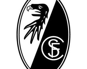 Немецкие футбольные клубы Фрайбург