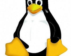 Операционная система  Linux